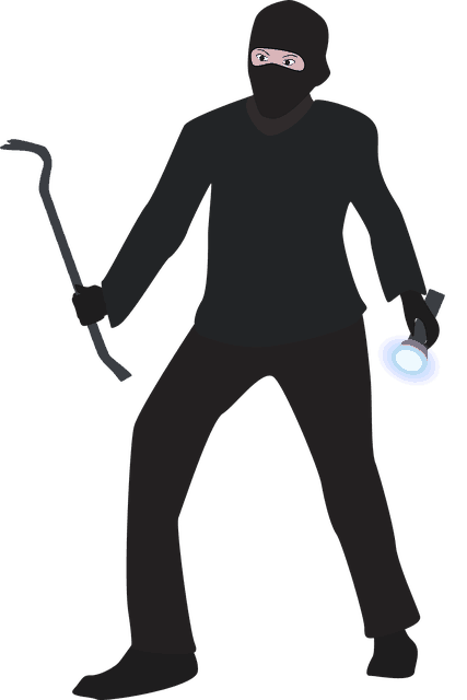 burglar-2022159_640